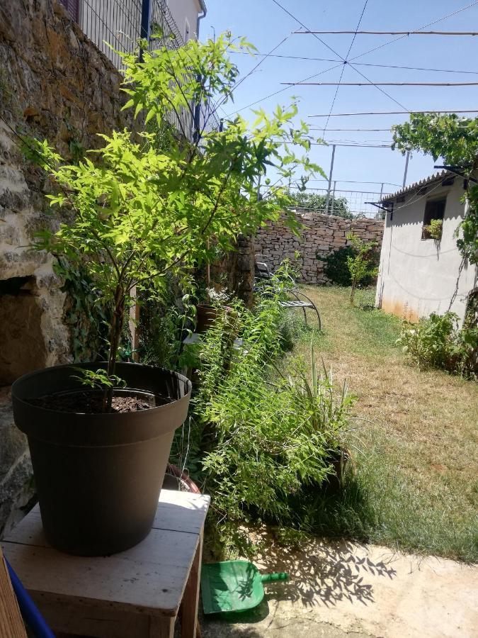 GaližanaOld Istrian House,Free Parkingアパートメント エクステリア 写真